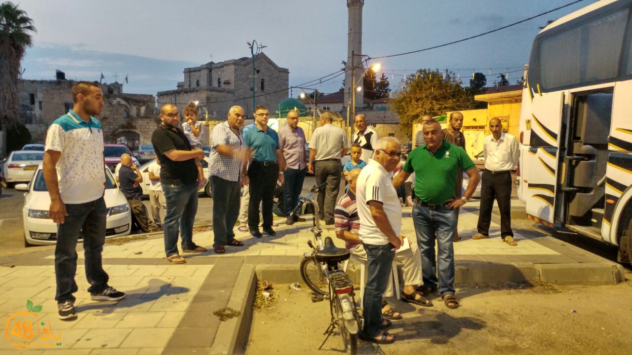 7ojaj ludi 3 (8).jpg